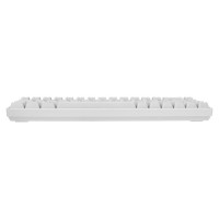 White Shark GK-2201 RONIN White-US