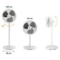 Beper P206VEN152