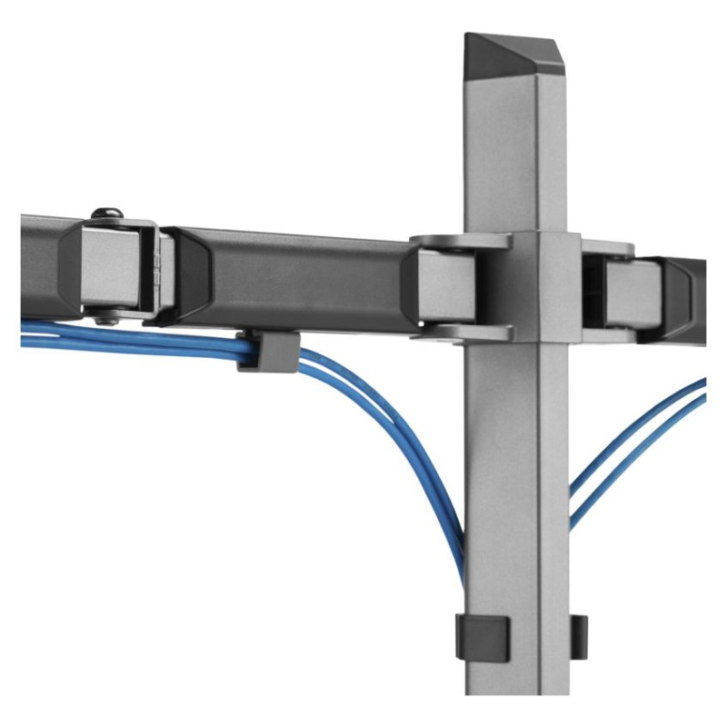 White Shark GMS-3205 Amenhotep II