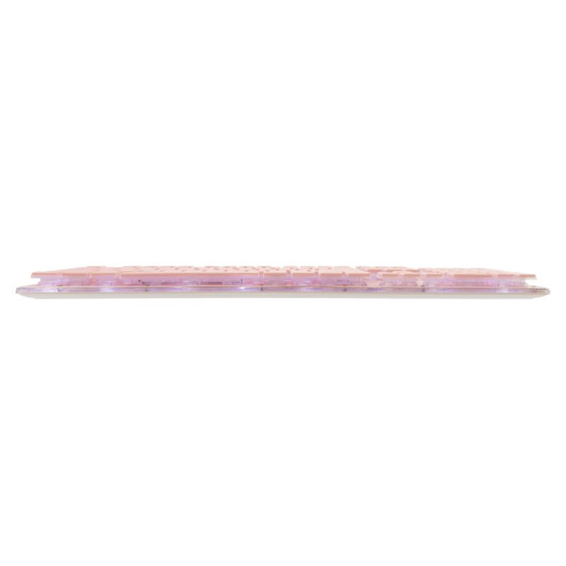 White Shark GK-003441 Tachi Pink US