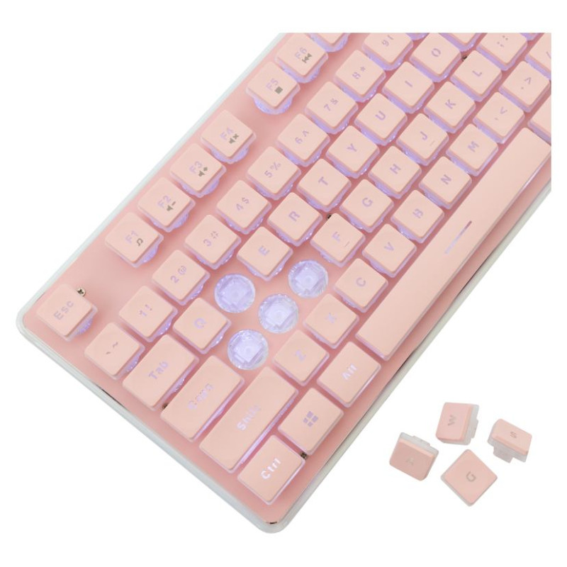 White Shark GK-003441 Tachi Pink US