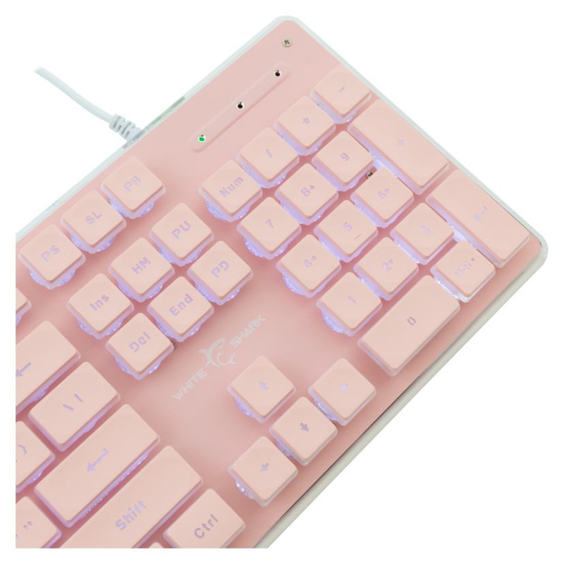 White Shark GK-003441 Tachi Pink US