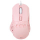 White Shark GM-5016 Ector Pink