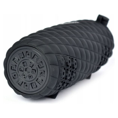 Toshiba Sonic Blast 2 TY-WSP80 Black