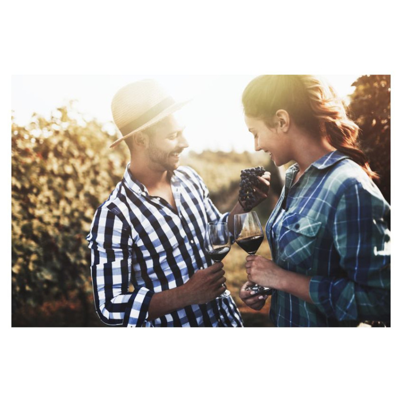 Gastroback Home Sommelier 47000