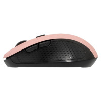Sbox WM-993 Pink
