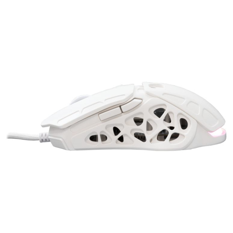 White Shark GM-5016 Ector White