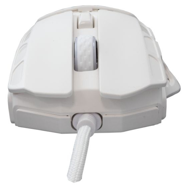 White Shark GM-5016 Ector White