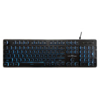 White Shark GK-003141 Tachi Black US