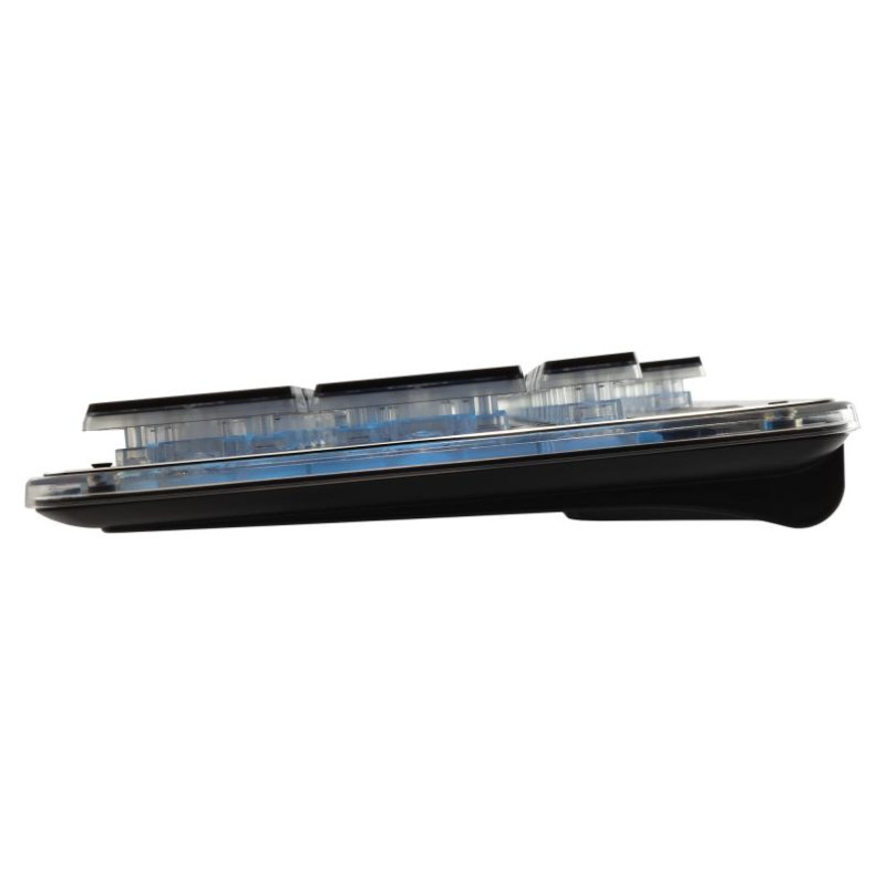 White Shark GK-003141 Tachi Black US