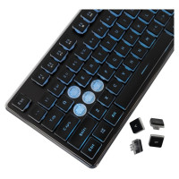 White Shark GK-003141 Tachi Black US