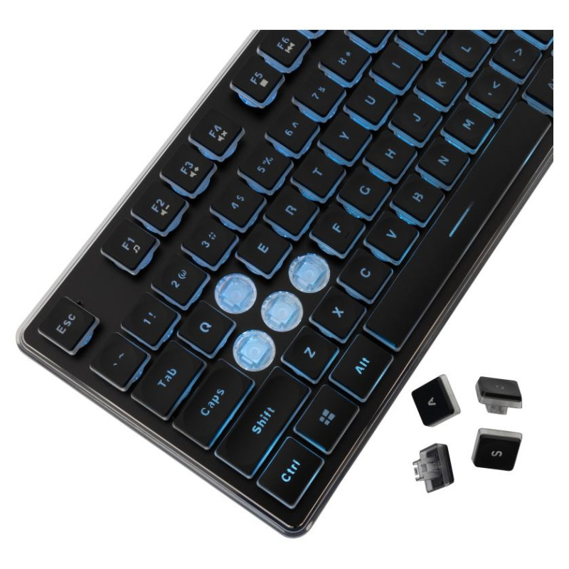 White Shark GK-003141 Tachi Black US