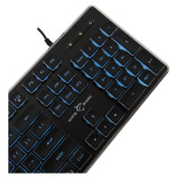 White Shark GK-003141 Tachi Black US