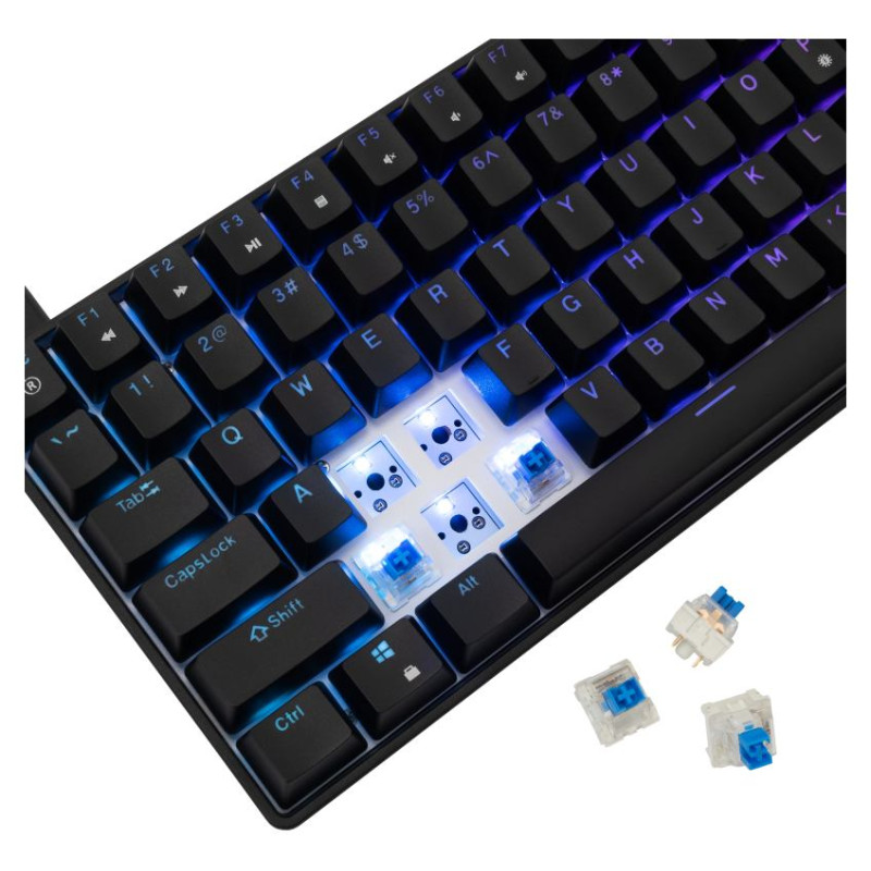 White Shark GK-005121 Hamachi Mechanical RGB / US - Blue SW.