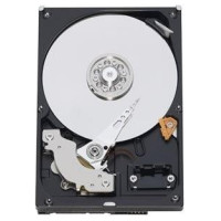 Western Digital HDD|WESTERN DIGITAL|Blue|1TB|SATA 3.0|64 MB|7200 rpm|3,5"|WD10EZEX