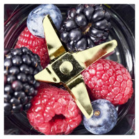 Gastroback 41033 Design Smoothie Maker Mix & Go