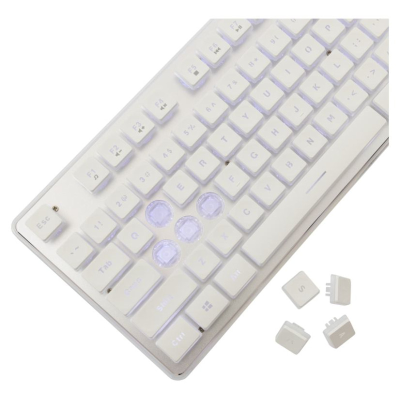 White Shark GK-003241 Tachi White US