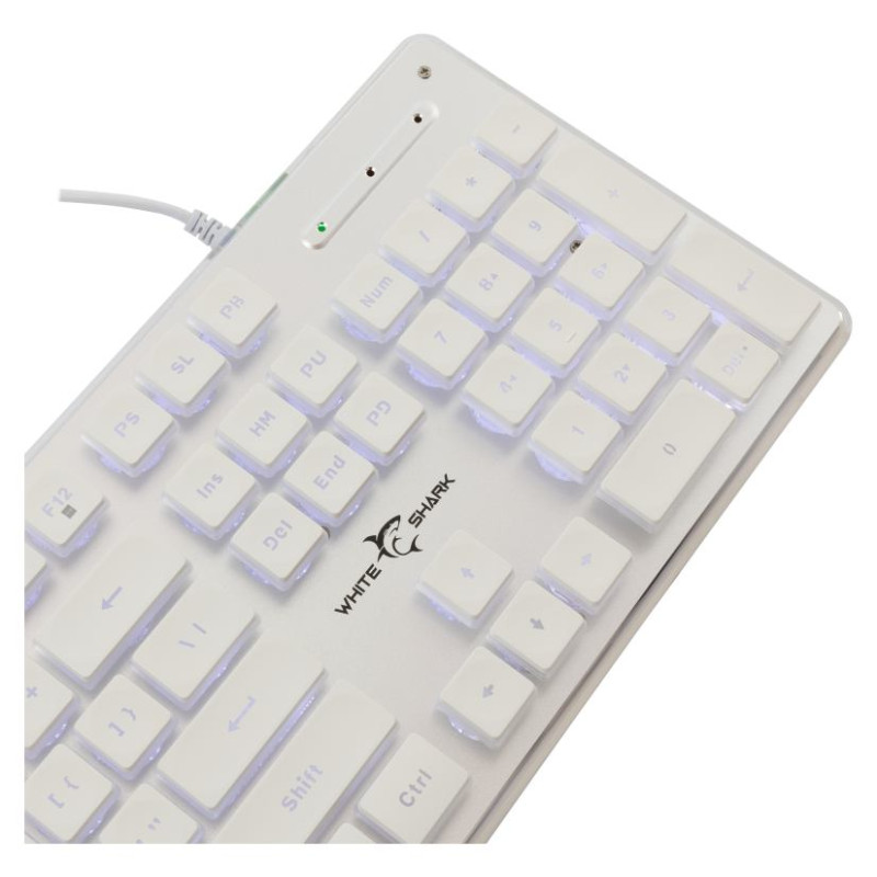 White Shark GK-003241 Tachi White US