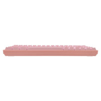 White Shark GK-2201 RONIN Pink-US