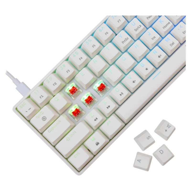 White Shark GK-004211 Shinobi-2 Red Switch, White US