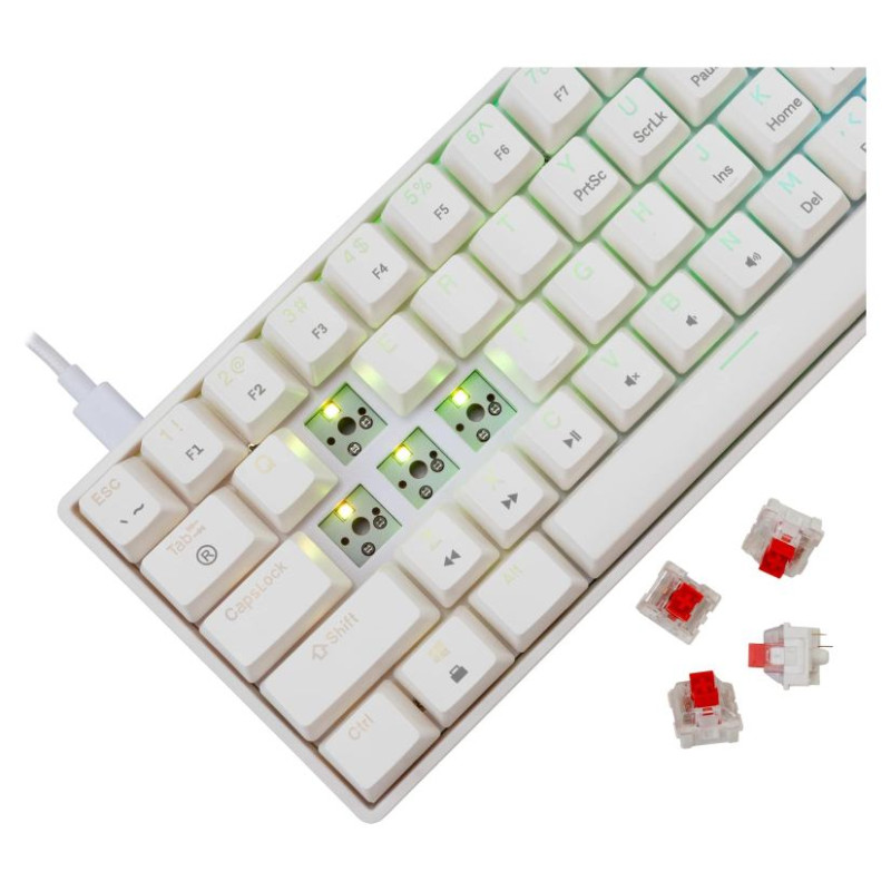 White Shark GK-004211 Shinobi-2 Red Switch, White US