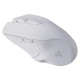Sbox WM-308 White
