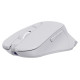 Sbox WM-308 White