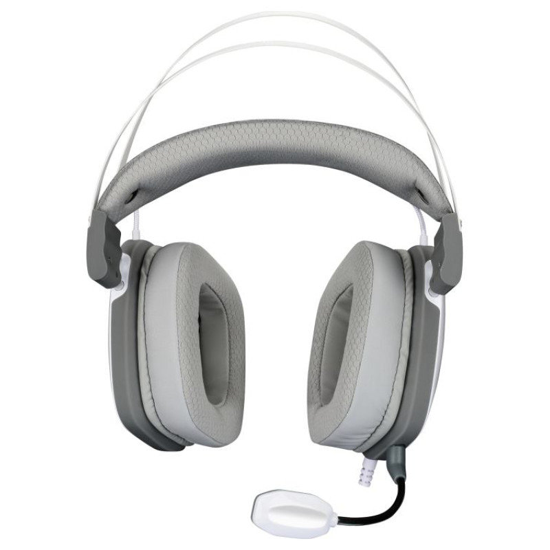 White Shark GH-2446 Gottan White