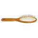Record Birste 21cm