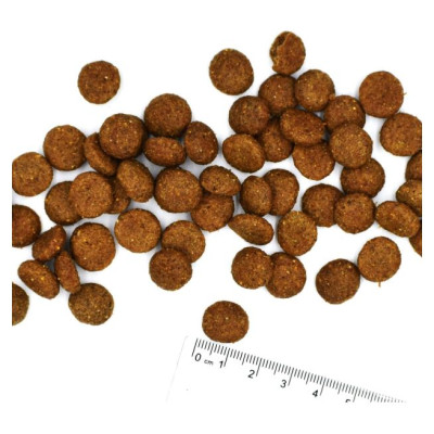 Monge Dog All Breeds Adult Monoprotein Pork with Rice and Potatoes 12 kg