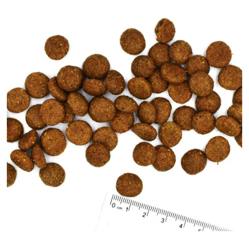 Monge Dog All Breeds Adult Monoprotein Pork with Rice and Potatoes 12 kg