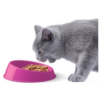 Georplast Plastmasas bļoda, pazemināta VIBRISSA 19 x 5 h cm