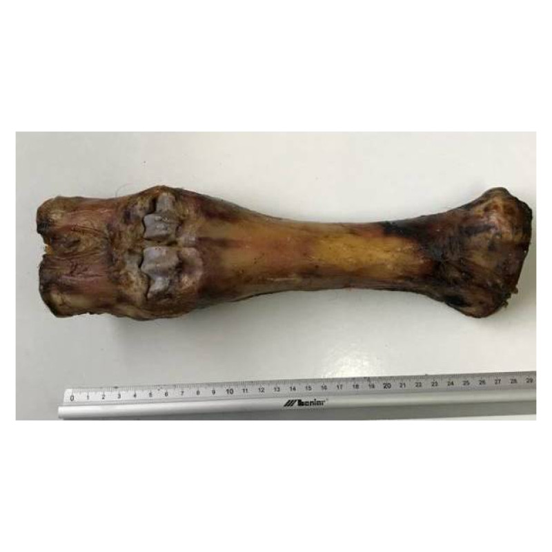 Laikas Gardums Liellopu kauls, gab.