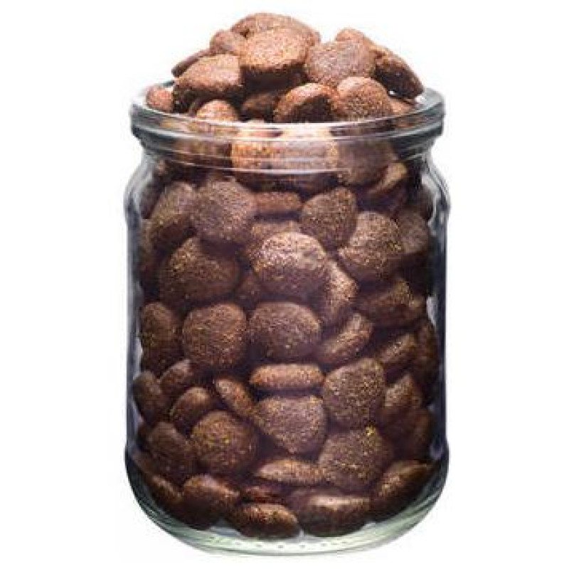 Brit Fresh Fish with Pumpkin Adult Large 2,5 kg barība suņiem