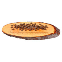 Carnilove Reindeer Adult Cat Energy & Outdoor 0,4 kg barība kaķiem