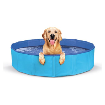 Record baseins suņiem BLUE 120x30cm