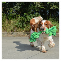 Europet Bernina Rotaļlieta suņiem Floss dawg green 40 x10 x7,5 cm