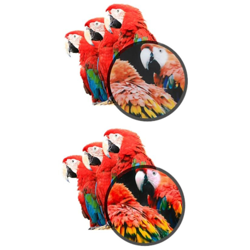 Kodak Mini Shot 2  Camera and Printer Combo Yellow