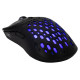 Baracuda BGM-021 OCTOPUS Black