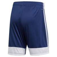Adidas Tastigo 19 M DP3245 shorts (XS)