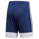 Adidas Tastigo 19 M DP3245 shorts (XS)