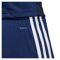 Adidas Tastigo 19 M DP3245 shorts (XS)