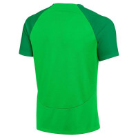 Nike DF Adacemy Pro SS Top KM DH9225 329 T-shirt (M)