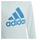 Adidas Sweatshirt adidas Big Logo Swt Jr HM8707 (140 cm)