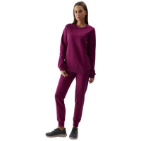 4F Pants 4F F606 W 4FWSS24TTROF606 51S (2XL)