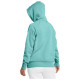 Under Armour Under Armor Rival Flecce Hoodie W 1379500 482 (S)