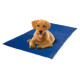 Record Atvēsinošs paklājs STAY FRESH BLUE PUPPY 50x90cm