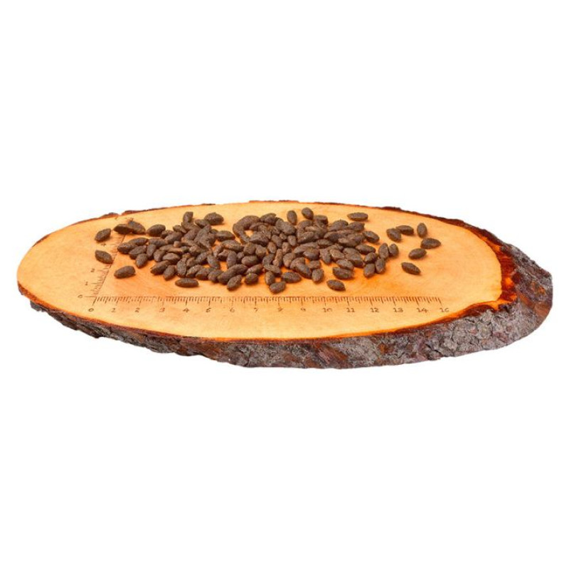 Carnilove Salmon Adult Cat Sensitive & Long Hair 2 kg barība kaķiem