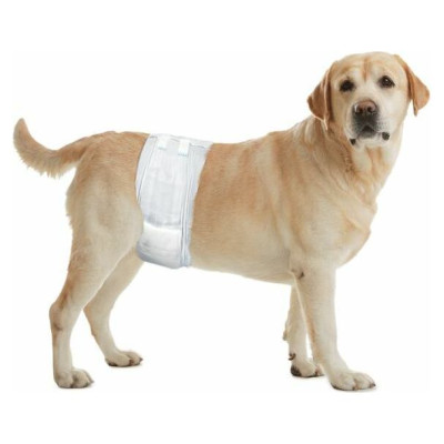 Flamingo autiņbiksītes suņiem For Male L 60-80cm 12gb.