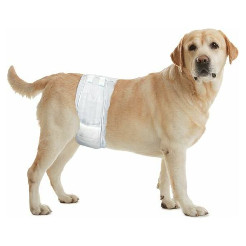 Flamingo autiņbiksītes suņiem For Male L 60-80cm 12gb.